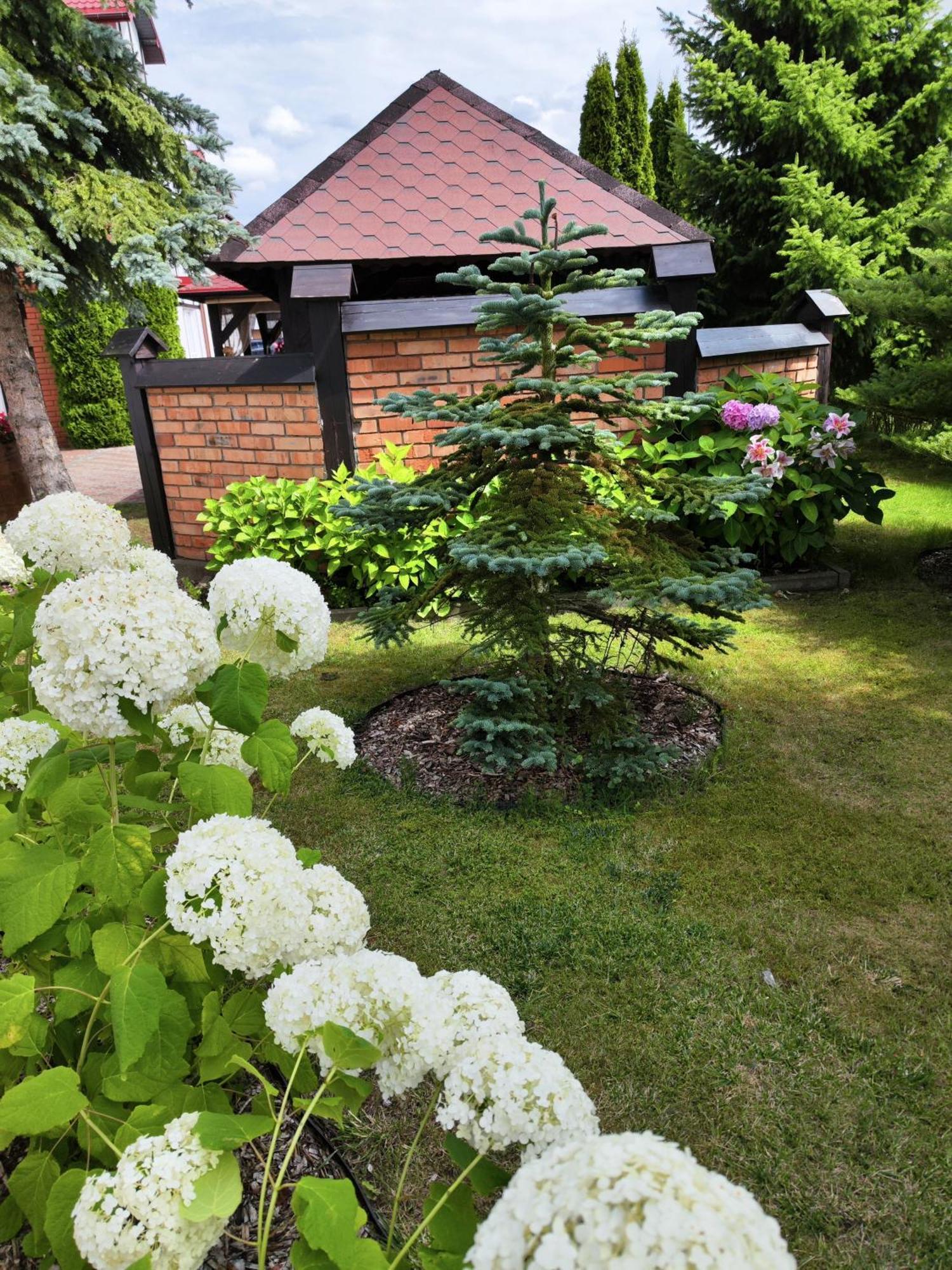 Bed and Breakfast Michalek W Rowach Rowy  Esterno foto