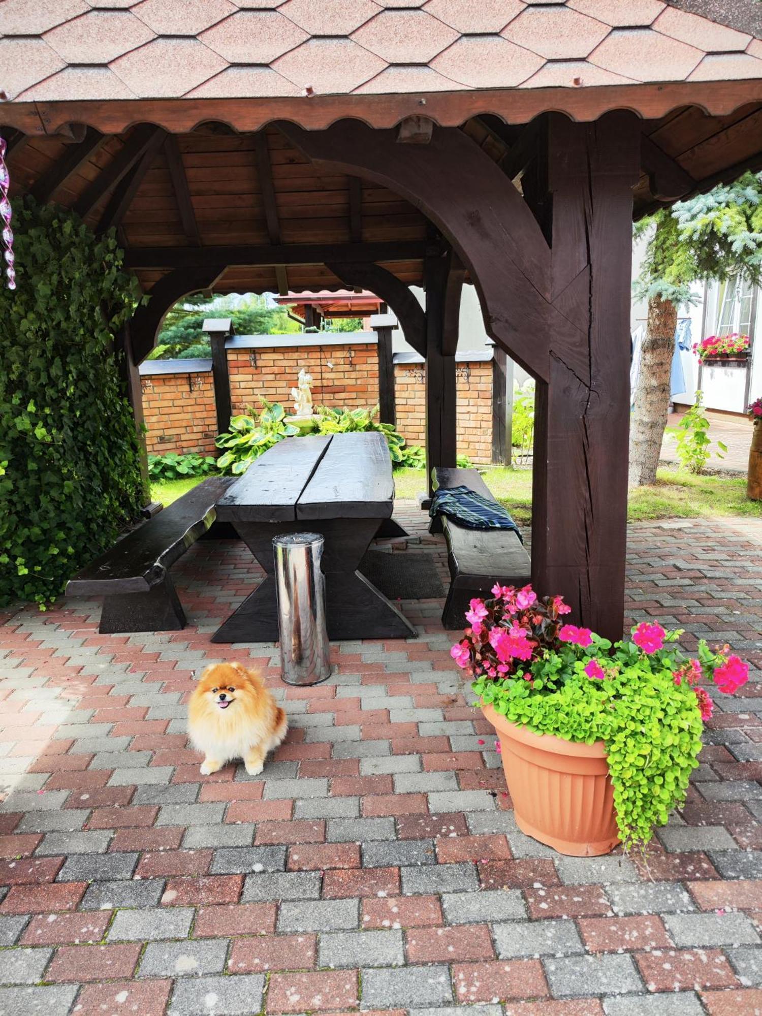 Bed and Breakfast Michalek W Rowach Rowy  Esterno foto