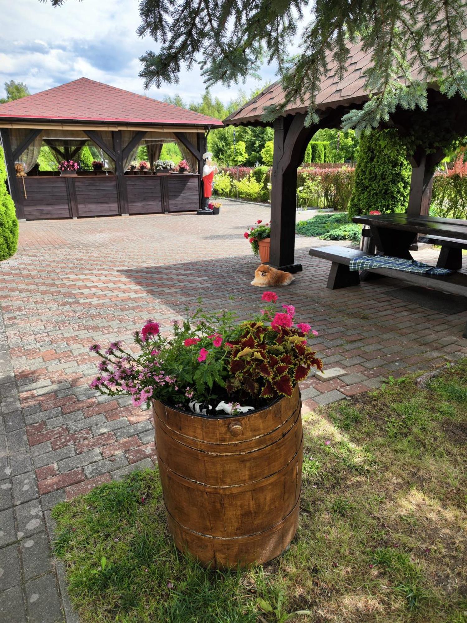 Bed and Breakfast Michalek W Rowach Rowy  Esterno foto