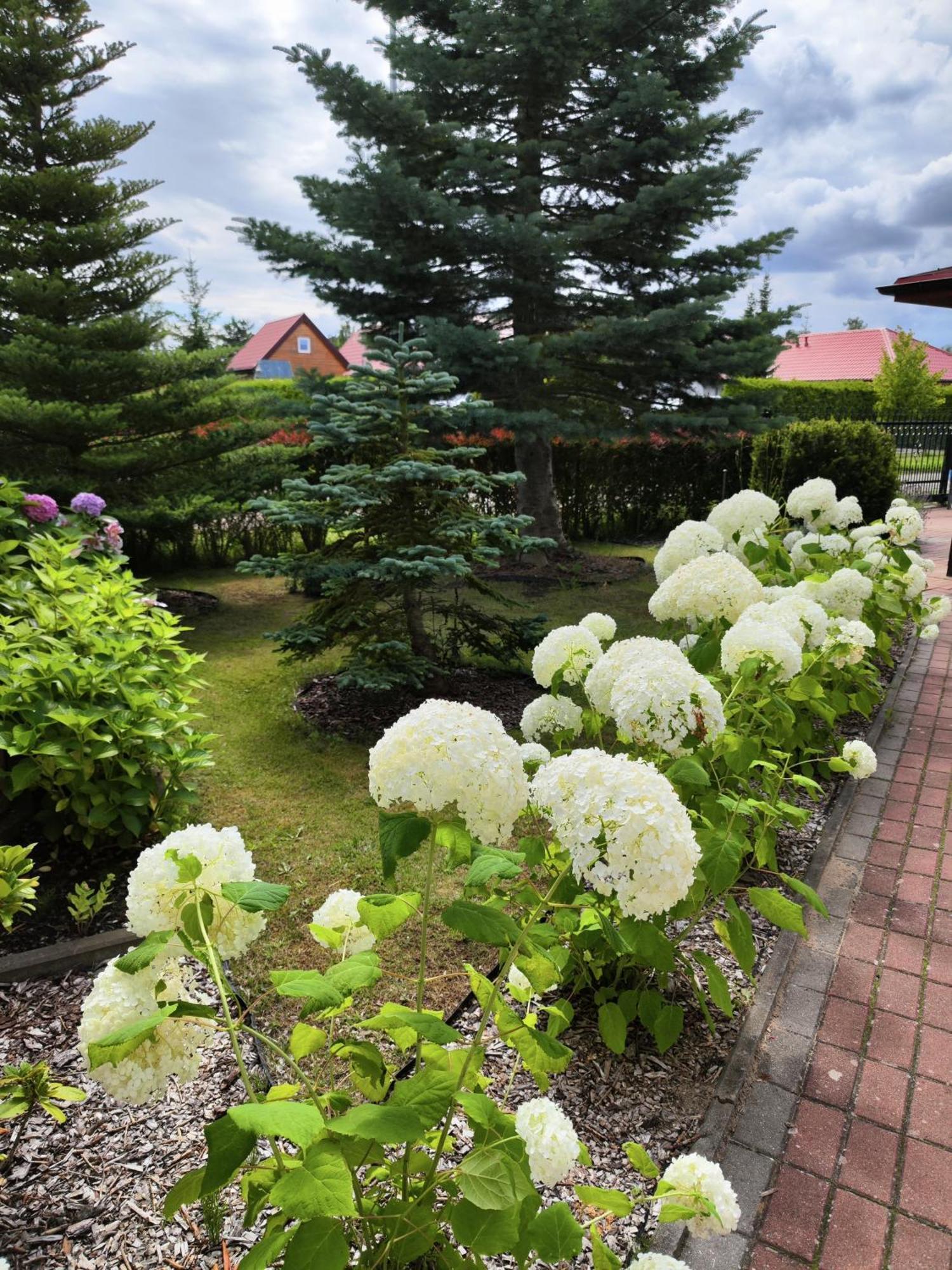 Bed and Breakfast Michalek W Rowach Rowy  Esterno foto