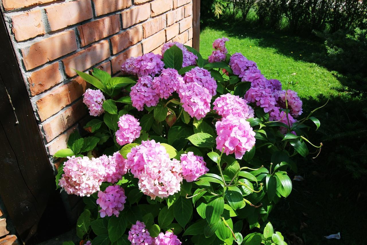 Bed and Breakfast Michalek W Rowach Rowy  Esterno foto